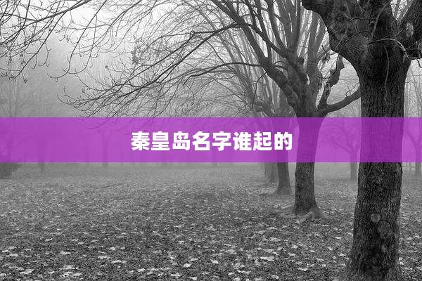 秦皇岛名字谁起的