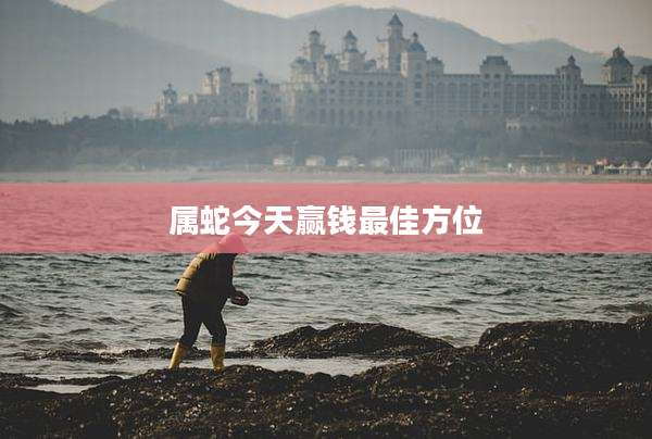 属蛇今天赢钱最佳方位
