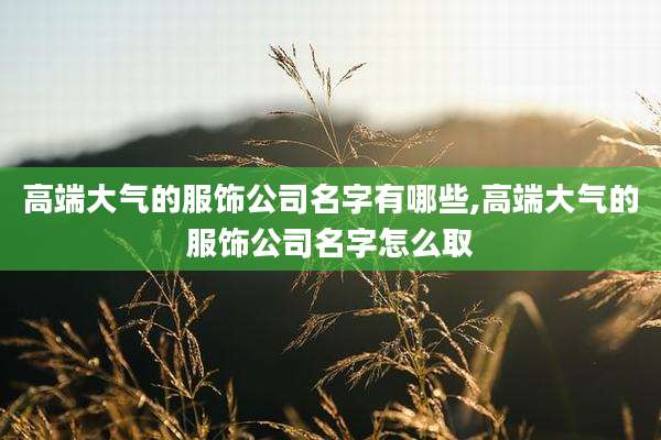 高端大气的服饰公司名字有哪些,高端大气的服饰公司名字怎么取