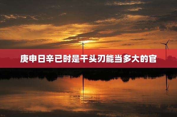 庚申日辛已时是干头刃能当多大的官