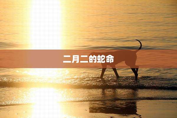 二月二的蛇命