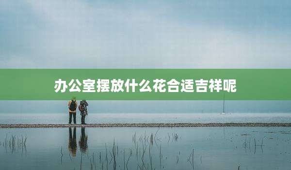 办公室摆放什么花合适吉祥呢