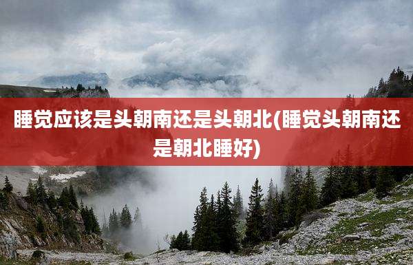 睡觉应该是头朝南还是头朝北(睡觉头朝南还是朝北睡好)