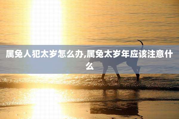 属兔人犯太岁怎么办,属兔太岁年应该注意什么