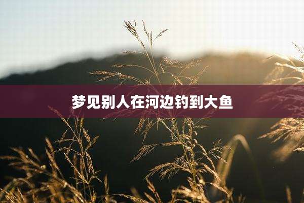 梦见别人在河边钓到大鱼