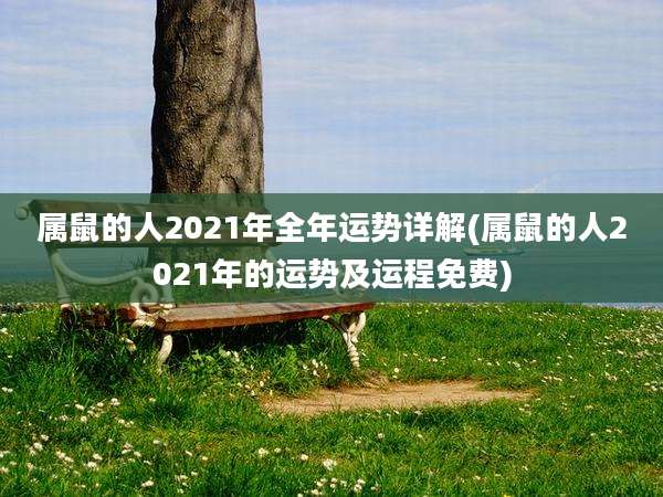 属鼠的人2021年全年运势详解(属鼠的人2021年的运势及运程免费)