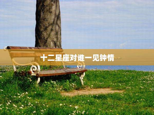 十二星座对谁一见钟情