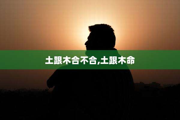 土跟木合不合,土跟木命