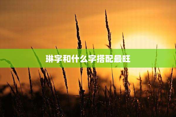 琳字和什么字搭配最旺