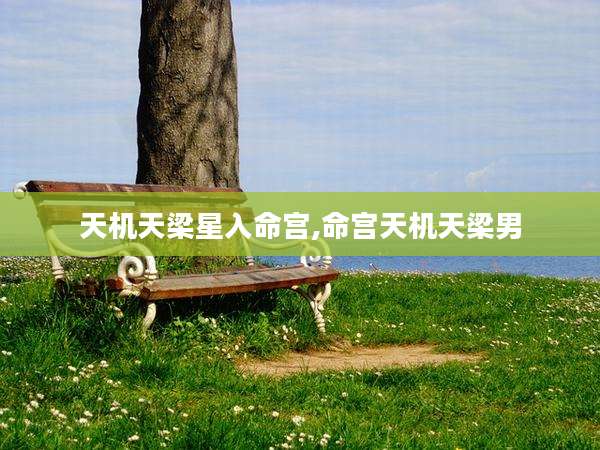 天机天梁星入命宫,命宫天机天梁男