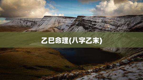 乙巳命理(八字乙末)