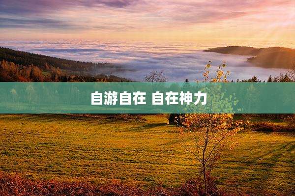 自游自在 自在神力