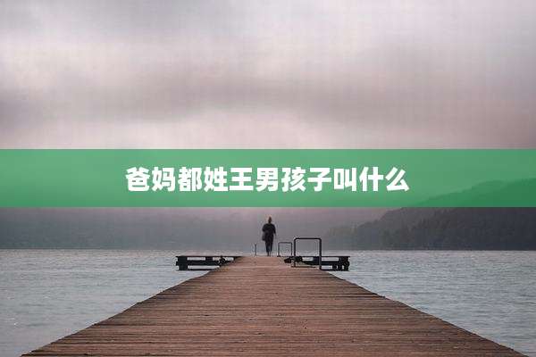 爸妈都姓王男孩子叫什么