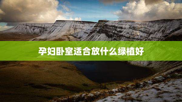 孕妇卧室适合放什么绿植好