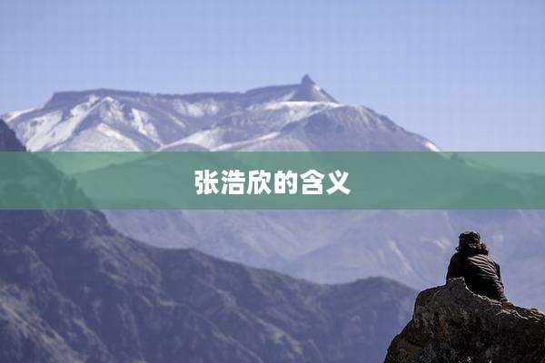 张浩欣的含义