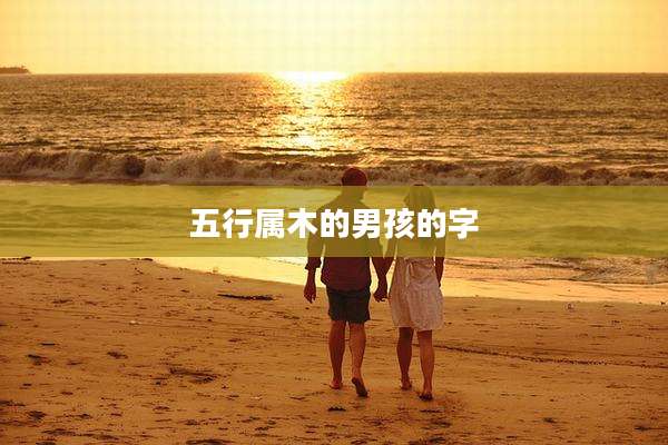 五行属木的男孩的字