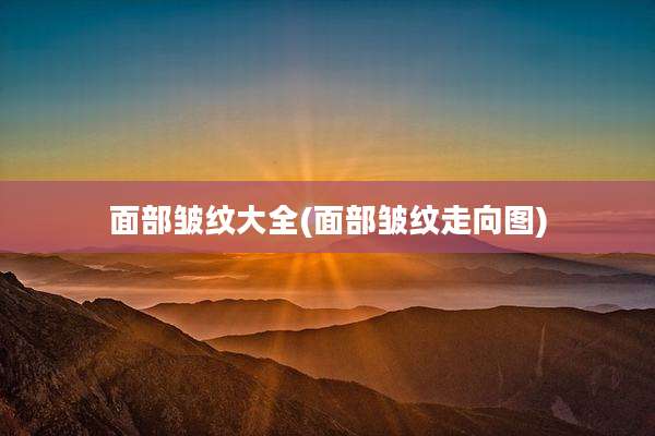 面部皱纹大全(面部皱纹走向图)