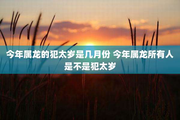 今年属龙的犯太岁是几月份 今年属龙所有人是不是犯太岁