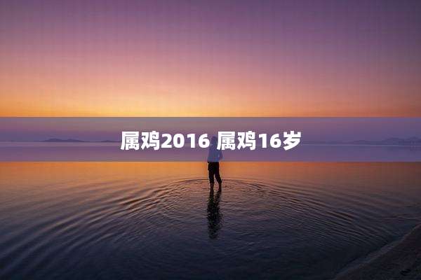 属鸡2016 属鸡16岁