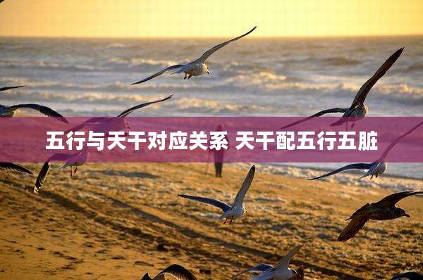 五行与天干对应关系 天干配五行五脏