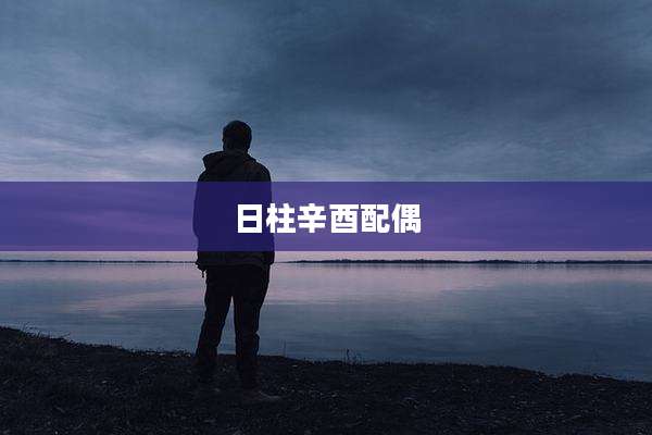日柱辛酉配偶