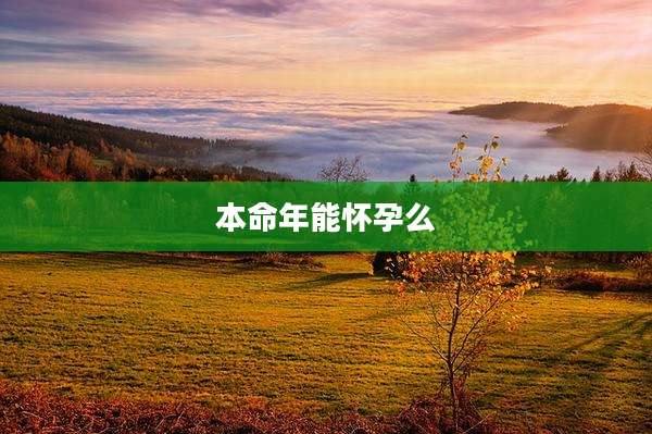 本命年能怀孕么
