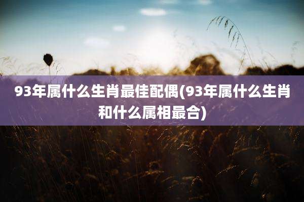 93年属什么生肖最佳配偶(93年属什么生肖和什么属相最合)