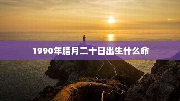 1990年腊月二十日出生什么命