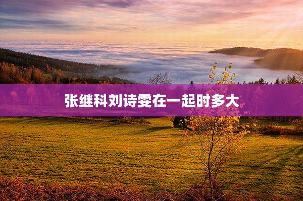 张继科刘诗雯在一起时多大