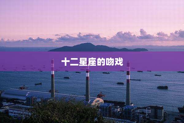 十二星座的吻戏