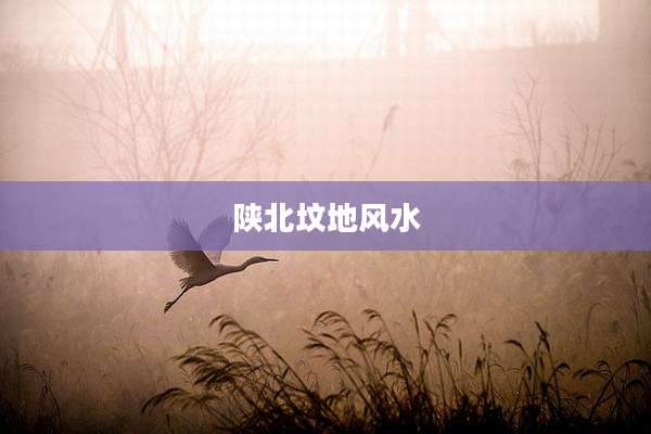 陕北坟地风水