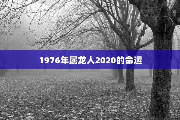 1976年属龙人2020的命运
