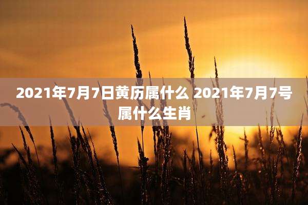 2021年7月7日黄历属什么 2021年7月7号属什么生肖