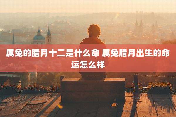 属兔的腊月十二是什么命 属兔腊月出生的命运怎么样