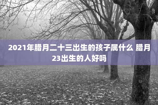 2021年腊月二十三出生的孩子属什么 腊月23出生的人好吗