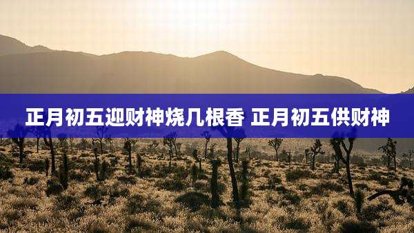 正月初五迎财神烧几根香 正月初五供财神