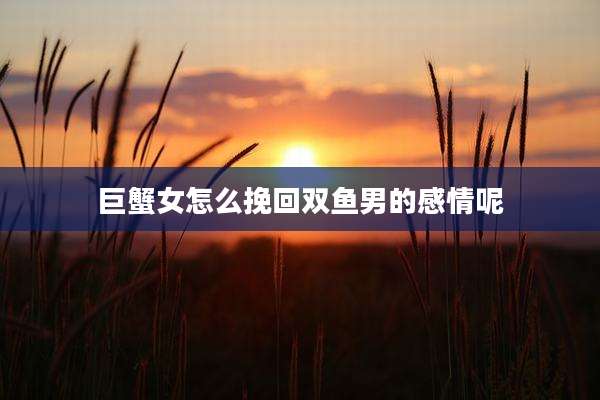 巨蟹女怎么挽回双鱼男的感情呢