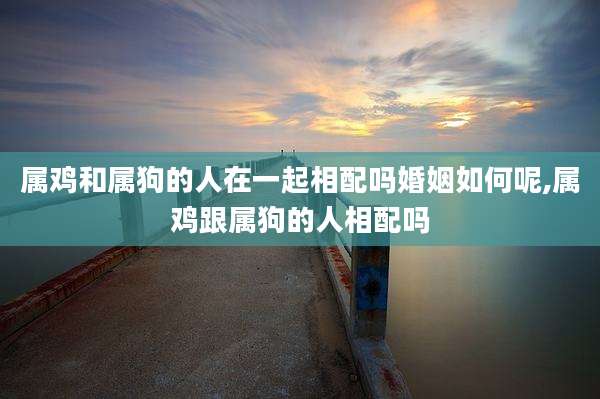 属鸡和属狗的人在一起相配吗婚姻如何呢,属鸡跟属狗的人相配吗