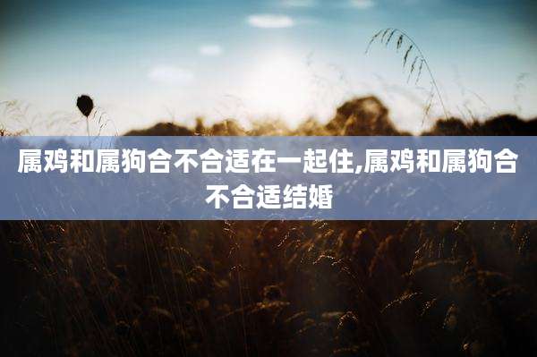 属鸡和属狗合不合适在一起住,属鸡和属狗合不合适结婚