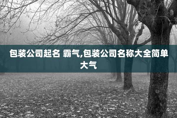 包装公司起名 霸气,包装公司名称大全简单大气