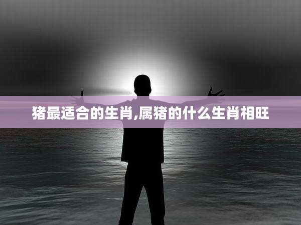 猪最适合的生肖,属猪的什么生肖相旺