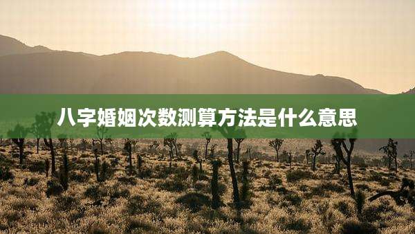 八字婚姻次数测算方法是什么意思
