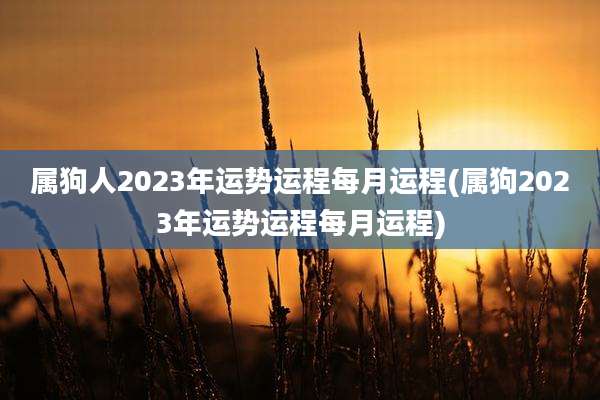 属狗人2023年运势运程每月运程(属狗2023年运势运程每月运程)