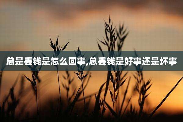 总是丢钱是怎么回事,总丢钱是好事还是坏事