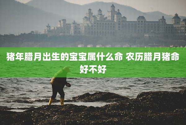 猪年腊月出生的宝宝属什么命 农历腊月猪命好不好