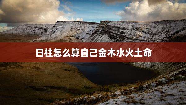 日柱怎么算自己金木水火土命
