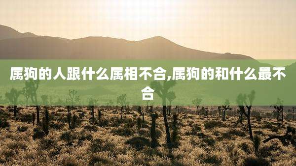 属狗的人跟什么属相不合,属狗的和什么最不合