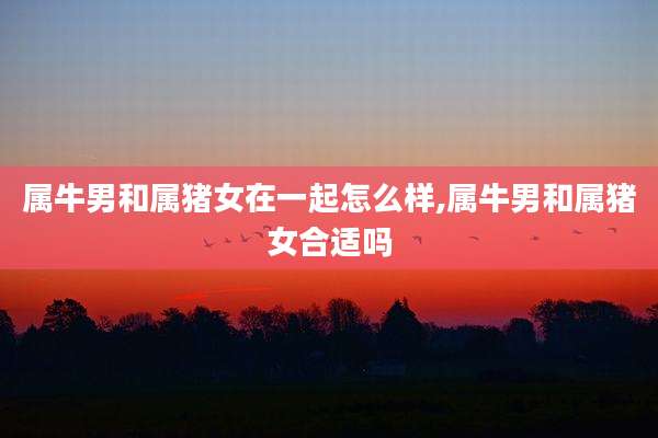 属牛男和属猪女在一起怎么样,属牛男和属猪女合适吗