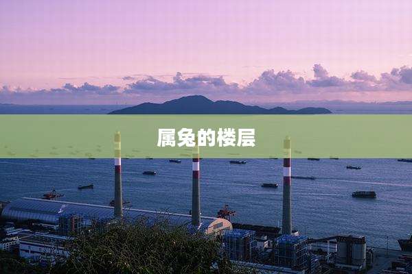 属兔的楼层