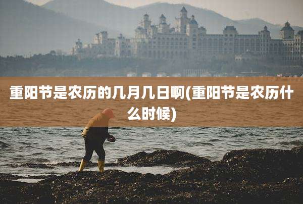 重阳节是农历的几月几日啊(重阳节是农历什么时候)